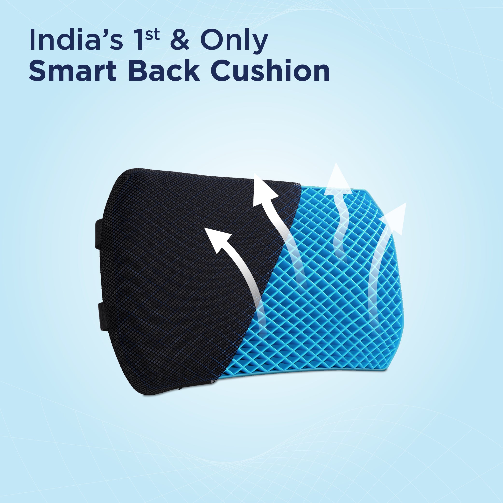 Ortho Back Cushion