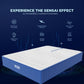 SensAI Mattress